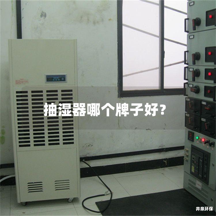 抽湿器哪个牌子好？