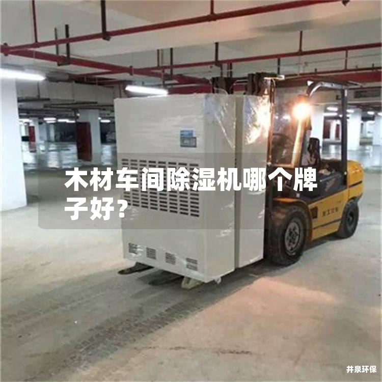 木材车间除湿机哪个牌子好？