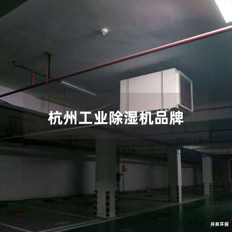 杭州工业除湿机品牌