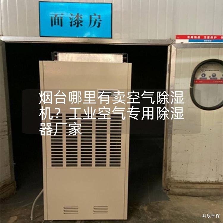 煙臺哪里有賣空氣除濕機？工業空氣專用除濕器廠家