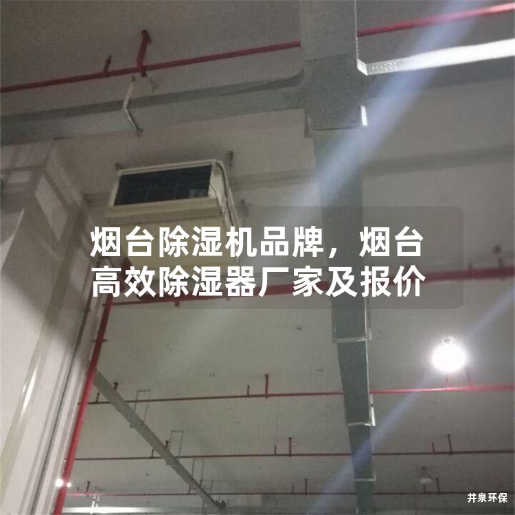 烟台除湿机品牌，烟台高效除湿器厂家及报价