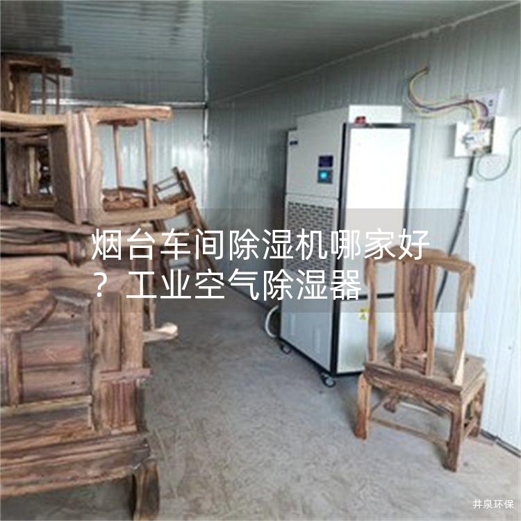 烟台车间除湿机哪家好？工业空气除湿器