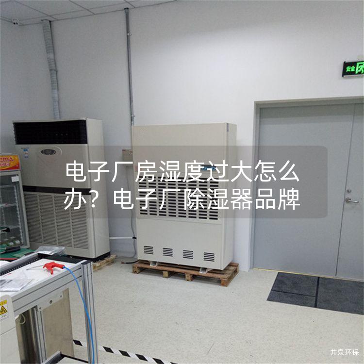 電子廠房濕度過(guò)大怎么辦？電子廠除濕器品牌