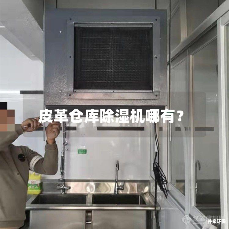 皮革倉(cāng)庫(kù)除濕機(jī)哪有？