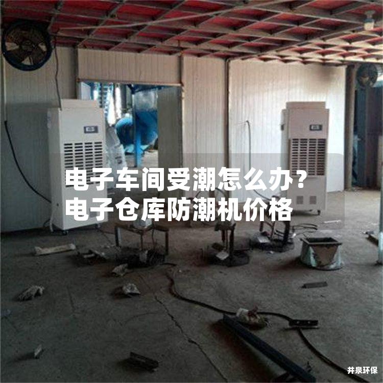 电子车间受潮怎么办？电子仓库防潮机价格