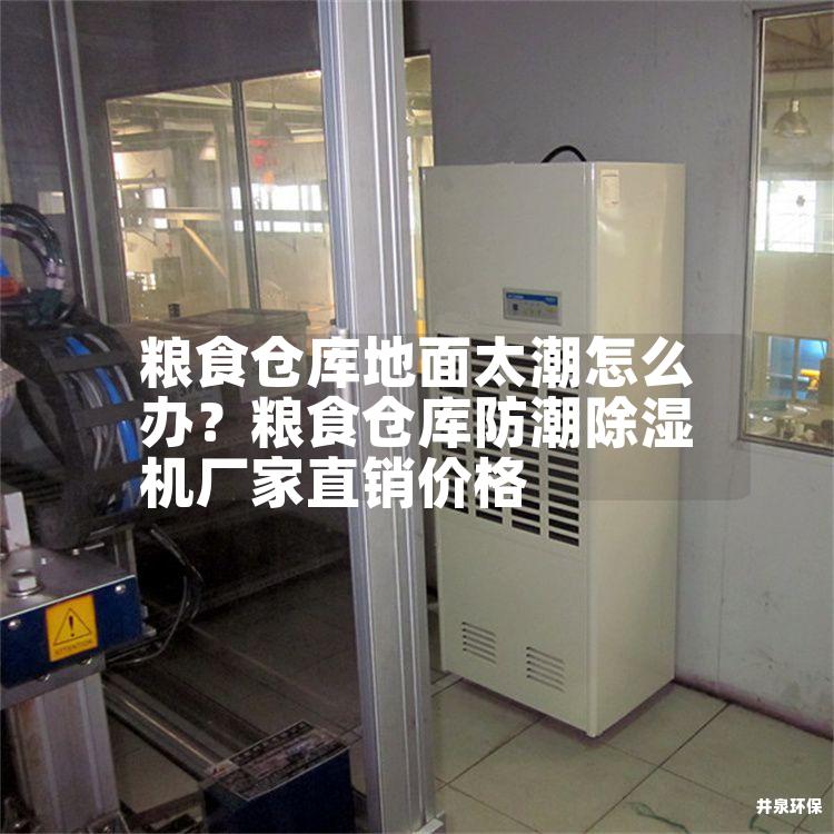 粮食仓库地面太潮怎么办？粮食仓库防潮除湿机厂家直销价格