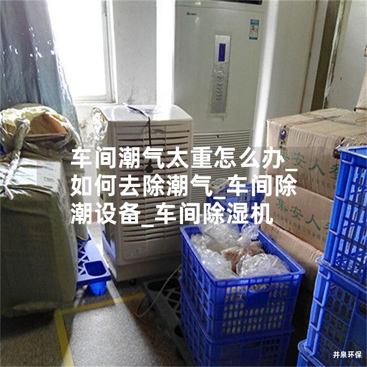 車間潮氣太重怎么辦_如何去除潮氣_車間除潮設備_車間除濕機