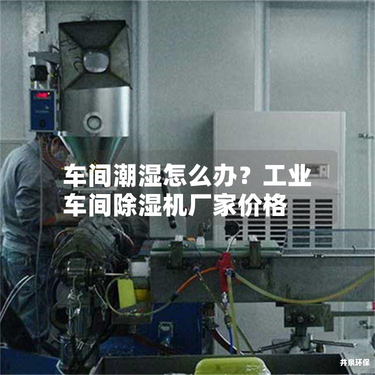 车间潮湿怎么办?工业车间除湿机厂家价格 车间潮湿怎么办?工业车间除湿机厂家价格