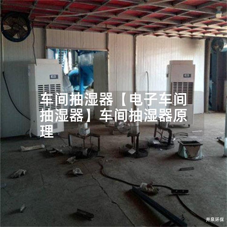 車間抽濕器【電子車間抽濕器】車間抽濕器原理
