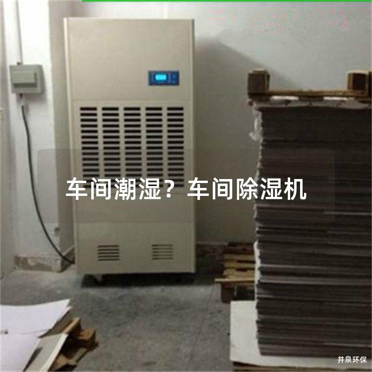 车间潮湿？车间除湿机