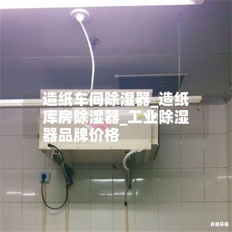 造纸车间除湿器_造纸库房除湿器_工业除湿器品牌价格
