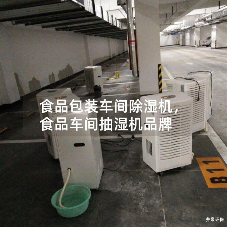 食品包装车间除湿机，食品车间抽湿机品牌