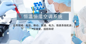恒温恒湿空调机