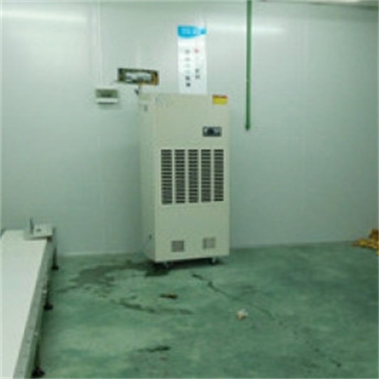 地下室停车库用工业除湿机