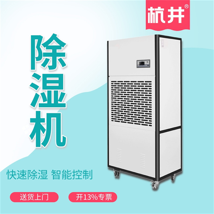 保持湿度平衡：掌握防潮除湿的黄金分割点